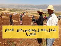 عاجل: السعودية تستعد لرفع الحظر عن لبنان... 885 مليون دولار خسائر تنتهي وآلاف الوظائف تعود!