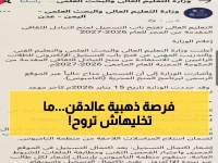 تعرف على فرصة العمر: الدراسة في أوروبا مجاناً 2026… الحكومة اليمنية تكشف التفاصيل الكاملة!