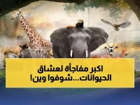 عاجل: حديقة الرياض تكشف عن مفاجأة مذهلة... 6 عوالم و1600 حيوان ينتظرونك 20 نوفمبر!