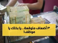 مفاجأة سارة لليمنيين.. صرف مرتبات 3 أشهر دفعة واحدة يبدأ في هذا التاريخ !