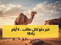 عاجل: السعودية تُعلن رسمياً إيقاف الدراسة 7 أيام متتالية في جميع المناطق - أول إجازة خريفية تاريخية!