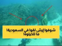 تاريخي: اكتشاف مرجان عمره 800 عام في السعودية - كنز طبيعي يُذهل العلماء ويُغير خريطة السياحة!