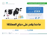 عاجل: السعودية تحطم الأرقام القياسية - إنتاج الدجاج ينفجر بـ13% و8.4 مليار بيضة!