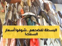 عاجل: أسعار الأسماك الاثنين في عدن تفاجئ الجميع - استقرار نسبي مع مفاجآت في أصناف محددة!