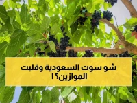 صادم: السعودية تسحق أوروبا في التوت الأسود بـ 5.3%... ثورة زراعية تقلب المعادلات!