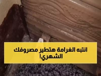 عاجل: حملة ليلية صادمة بالإسكندرية تغلق 4 مقاهي وتفرض غرامات 3000 جنيه... أصحاب المحال في حالة ذعر!