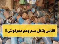 حصري: تفاصيل مرعبة من داخل حملة القليوبية - 354 إبرة قاتلة و90 مخبز يخدع الناس يومياً!