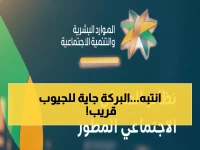 رسمي: الضمان الاجتماعي ينزل 1 ديسمبر - تفاصيل النظام المطور الجديد وطريقة الاستعلام!