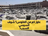 عاجل: الحكومة تبيع 142 لوط بـ15.2 مليون جنيه… والسبب صادم - تكليف رئاسي خاص!