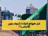 عاجل: السعودية تفتح الحرمين للاستثمار الأجنبي... 90% نسبة التملك في مكة والمدينة يناير المقبل!