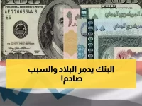 عاجل: انقسام نقدي خطير باليمن - الدولار بـ1629 ريال في عدن و535 في صنعاء!