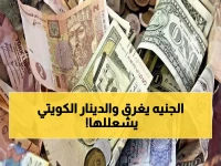 شاهد الأسعار: الدينار الكويتي يحطم الأرقام والدولار عند 47.72 جنيهاً - تحديث فوري من البنوك المصرية