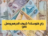 أسعار الدرهم الآن: 12.95 جنيه في البنوك المصرية - تعرف على أفضل البنوك للتحويل!