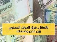 صادم: الدولار في عدن 1632 ريال وفي صنعاء 524 فقط - فجوة الـ 200% التي تقسم اليمن!