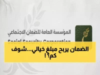 عاجل: صندوق الضمان يحطم الأرقام القياسية - نمو بـ 1.2 مليار دينار وأعلى أرباح في التاريخ!