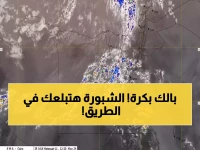 تحذير عاجل: شبورة خطيرة تغطي مصر غداً - انخفاض الرؤية لـ صفر متر على الطرق السريعة!