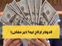 عاجل: الدولار يستقر تحت الـ48 جنيه لليوم الثاني… هل انكسرت الحاجز النفسي؟