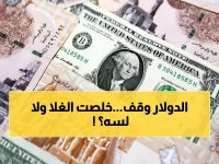 عاجل: الدولار يستقر تحت الـ48 جنيه... هل انتهت معاناة المصريين مع ارتفاع الأسعار؟