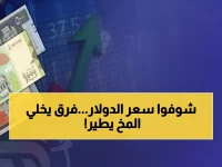 صادم: الدولار في عدن يساوي 3 أضعاف صنعاء... انقسام اقتصادي بفارق 310% يدمر اليمن!