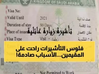 عاجل: زلزال الـ 24 ساعة يدمر أحلام 3.2 مليون مقيم بالسعودية - انهيار التأشيرات بنسبة 60%!