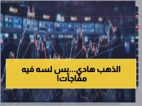 عاجل: الذهب يستقر عند 446 ريال... هل هذا الهدوء قبل العاصفة؟