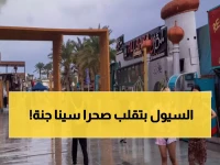 شاهد: لحظات سحرية نادرة... الأمطار تحول صحراء سيناء لجنة خضراء والسياح في حالة انبهار!