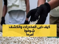 صادم: السعودية تعدم باكستانياً أخفى الهيروين داخل جسده… 88 إعدام في 4 أشهر فقط!