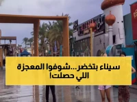 معجزة نادرة: الأمطار تحول صحراء سيناء لجنة خضراء... شلالات 200 متر تظهر لأول مرة منذ 10 سنوات!