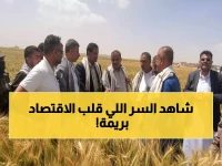 عاجل: اكتشاف صادم في ريمة… 100% نجاح في موسم واحد يقلب موازين الاقتصاد اليمني!