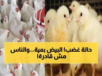 عاجل: البيض يكسر حاجز الـ100 جنيه والدواجن تشعل الأسعار اليوم... هل نواجه أزمة غذائية؟