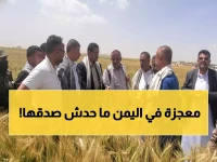 ثورة خضراء في ريمة: مزارعون يمنيون يحققون المعجزة... زراعة الزيتون بنجاح 100% والعالم يترقب!