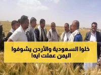 عاجل: أول مرة في التاريخ.. مزارعو ريمة يكتشفون "الذهب الأخضر" - 100% نجاح صادم قد ينهي استيراد الزيتون!