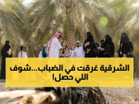 عاجل: ضباب كثيف يشل حركة المرور في الشرقية... الرؤية تنخفض لمتر واحد!