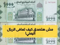 عاجل: الريال اليمني يحقق معجزة التعافي من 2,760 إلى 238 للدولار... كيف تم إنقاذه من الانهيار الكامل؟