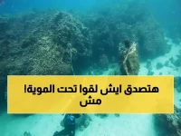 عاجل: كنز عمره 800 عام يُكتشف لأول مرة في أعماق البحر الأحمر… علماء العالم في صدمة!