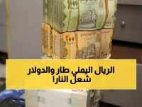 عاجل: انهيار خطير للريال اليمني في عدن... الدولار يقفز لـ163 والسعودي يخترق حاجز الـ429!