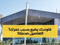 عاجل: التأمينات تفتح باب النخبة للتوظيف... لكن شرط العمر 25 عاماً يصدم الآلاف!