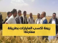 عاجل: ريمة تصنع المعجزة… 100% نجاح في زراعة الزيتون وخبراء: اليمن ستهزم إيطاليا!