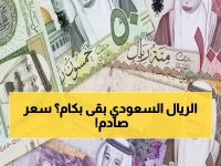 عاجل: الريال السعودي يقفز لـ 12.7 جنيه... هل تشتري العملة الآن قبل فوات الأوان؟