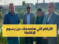 عاجل: صدمة رسوم الإقامة السعودية 2025... أرقام مفاجئة تنتظر 15 مليون مقيم!