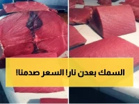 عاجل: انفجار صادم في أسعار الأسماك بعدن... ديرك يصل 24 ألف والسخلة تضاعف سعرها!