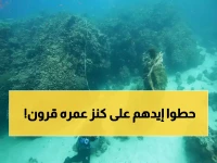 عاجل: اكتشاف كنز عمره 800 عام في أعماق البحر الأحمر بالسعودية... العلماء في صدمة والعالم يترقب!