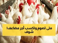 عاجل: مواعيد الأيام البيض في رجب 2026 تُحدد رسمياً - اكتشف الأيام الثلاثة الذهبية للأجر المضاعف!