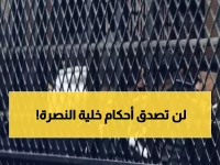 عاجل: محاكمة 312 متهمًا في "خلية النصرة".. أحكام بالإعدام والمؤبد الأحد!