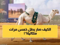 عاجل: النهدي يحقق إنجازاً تاريخياً... يحصد 5 مراكز متتالية في مهرجان الملك عبد العزيز للإبل!