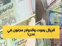 صادم: الدولار يقفز لـ 1630 في عدن مقابل 536 في صنعاء... الفارق الجنوني يحطم الأرقام القياسية!