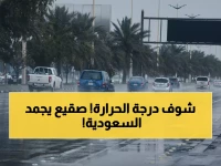 عاجل: موجة برد قارسة تضرب السعودية... تبوك تسجل 6 درجات والسيول تهدد 8 مدن!