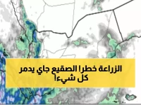 عاجل: خبير أرصاد يحذر من كارثة زراعية... صقيع مدمر سيضرب شرق اليمن ليلة الأحد!