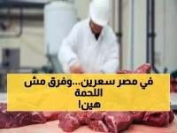 صادم: فروق 150 جنيه بين اللحوم البلدي والمستوردة - الكندوز يصل 470 والبرازيلي بـ210 فقط!