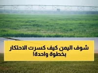 عاجل: اليمن يكسر احتكار القمح المستورد... كيس بـ10 آلاف ريال يوفر مليار دولار سنوياً!